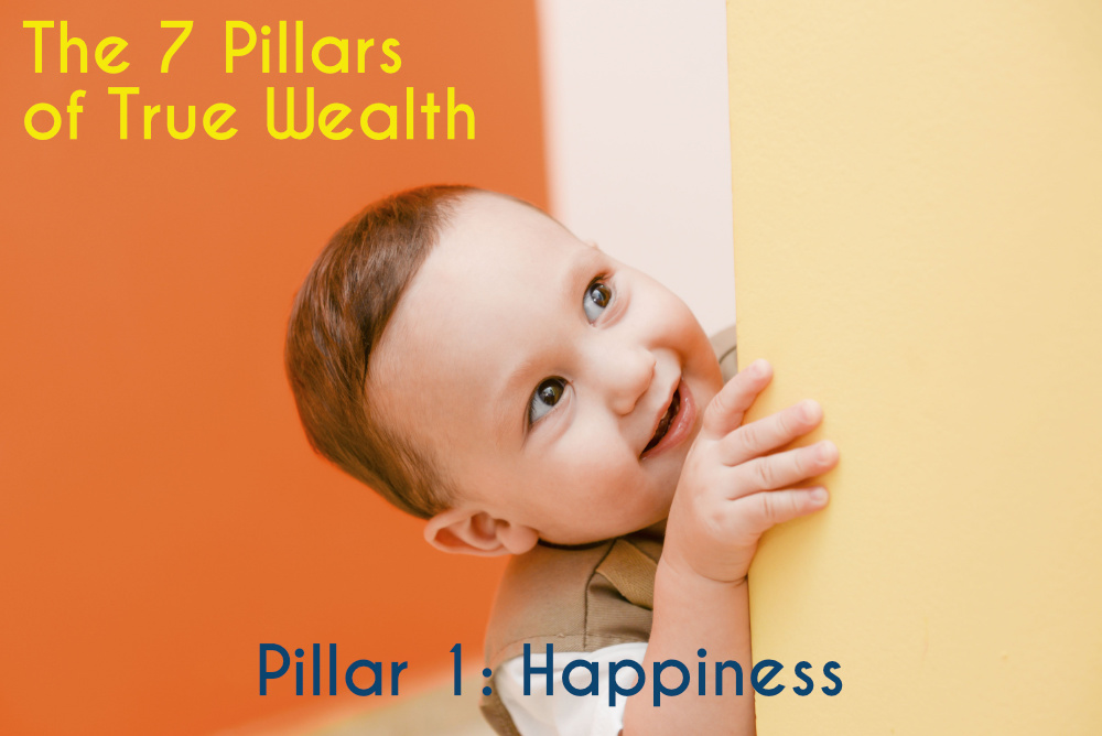 Pillar-1-Happiness-1 The 7 Pillars of True Wealth - Keith Jones - Pillar 1 - Happiness