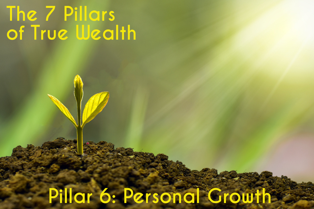 Pillar-6-personal-growth-1 The 7 Pillars of True Wealth - Keith Jones - Pillar 6 - Personal Growth